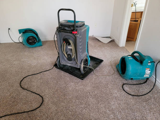 Best Local water damage restoration  in Milbank, SD