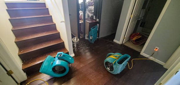 Trusted SD Water damage restoration Experts