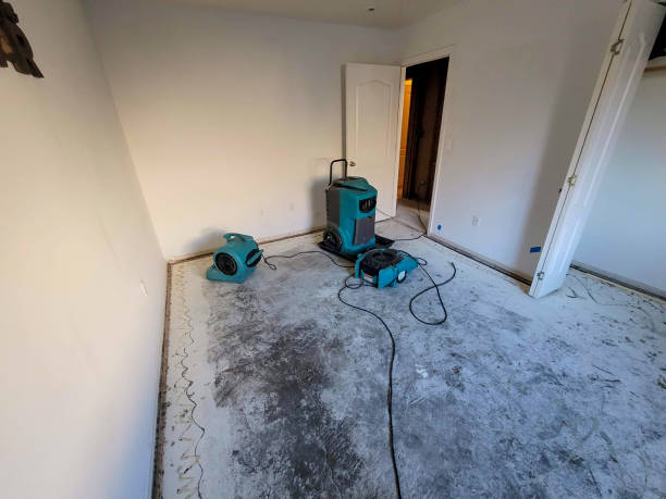 Best Mold removal after water damage  in Milbank, SD