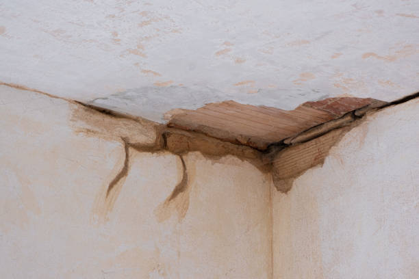 Best Residential water damage restoration  in Milbank, SD