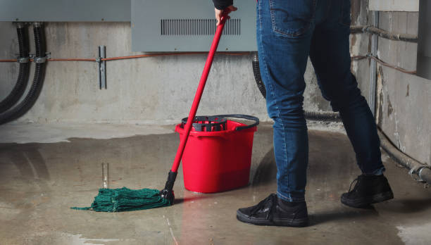 Best Ceiling water damage repair  in Milbank, SD