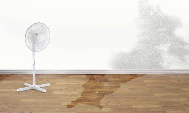 Best Water damage restoration near me  in Milbank, SD