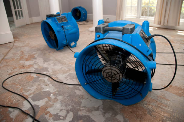 Best 24-hour water damage restoration  in Milbank, SD