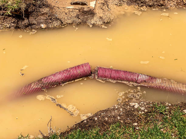 Best Emergency water damage restoration  in Milbank, SD