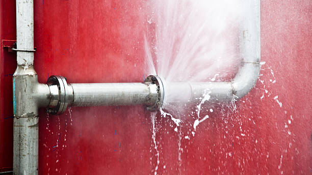 Best Water damage cleanup near me  in Milbank, SD